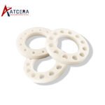 Alumina Ceramic Retaining Ring